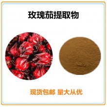 沃特莱斯 玫瑰茄提取物10:1 速溶粉 棕黄色粉末 喷雾干燥