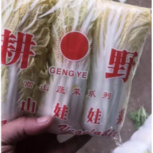 Ϫ޲˰װֽ߲˰װֽ