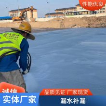 卫生间下水管补漏防水厕所天花板地漏缝隙漏水渗水堵漏管道修补胶