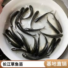 ߲ ͽ˿ 糡Ӧ