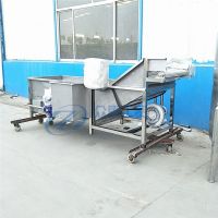 多功能小龙虾清洗机 海鲜气泡清洗机 海鲜菇 蛤蜊 鱼类海参清洗
