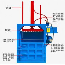 惠民 大型液压打包机 废纸箱压包机 热销液压打包机