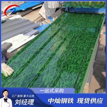 江苏彩涂卷DX51D+Z材质 加工开平 颜色定做 储藏室制造用0.6*1000