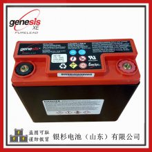 ԭװGenesisXE40ҽе UPS12V-42AhEnersys