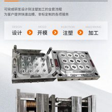 PE/PP/ABS/PSϿ壬Сϼģעһ廯