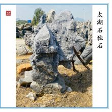 太湖石独石原基地-英德太湖石独石的优点-绿化装饰石太湖石独石