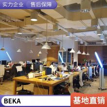 BEKA BA504G-SS 德国贝卡显示表 数显表 防爆显示器 率