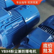 YBX3高效隔爆电机防爆电动机 恒防YE3-4-18.5KW 三相异步电 动机货源