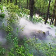 贵州高压喷雾造景设备公司-设计方案-安装施工-免费技术咨询