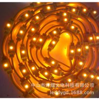 LED˫DY-0123˫ͷ ˫淢͵ ·Ƹͼ