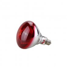 Philips/250W BR125УҼȵƺɵ***ºߵ