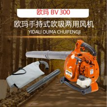ŷBV300ʽɭֻ԰̻