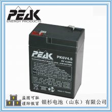 法国PEAK蓄电池PK6V4.5应急照明 消防门禁用6V4.5AH储能小型电池