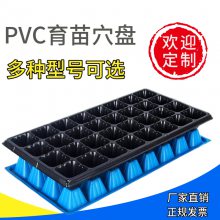草莓育苗盘 瓜果蔬菜育秧塑料穴盘 装基质的培育穴盘多穴孔可选
