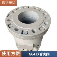 ܻе G641Xϵйܼз ʳʳƷòֹȦ