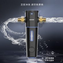 埃克森 前置过滤器 AICSN-A200