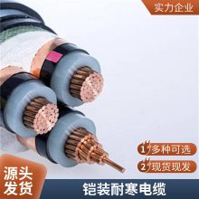 国标YJV22铜芯3*10/4*10*5*10平方铠装工程电力电缆