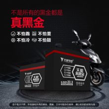 60V48V12AHڽհŵϵ綯ƿŰװ