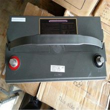 ʿDJM12100S EPSϵͳӦԴ12V100AH 20HR