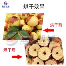 蓝天 红枣烘干箱 红枣烘干房 旧房子可以改造使用