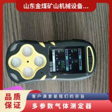 金煤供应CD3多参数气体检测仪 灵敏度高 检测抗干扰
