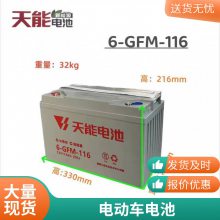 12V-120A綯ֽγɨػ120a48V60V72Ǧƿ
