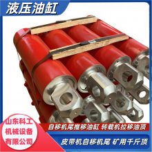 116SEGA0101ض۲֧תػҺѹ͸ DG-200/1100ǧﶥ