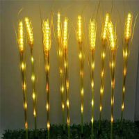 LEDƹڻ  ز ƺ