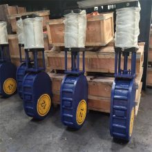 Z674TC-10C մɶԼת WCBֲ  DN250