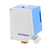 ƷGEORGIN