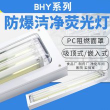 防爆荧光灯2*9W2*18W 2*28W化工厂防腐蚀LED车间洁净照明灯36W