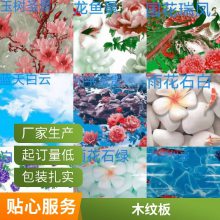 金属彩钢印花板 印花木纹彩涂卷 欢迎到厂参观