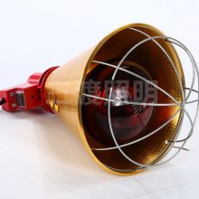 籣µƳ-ˮµֳ-