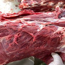 澳洲牛肉低温高湿解冻机 四分体解冻机 牛羊肉冻转鲜设备