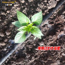 ֻӦл󶹷  췢ʹ󶹷