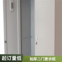 大空间现代简约钢制二门更衣柜 家庭用防火防磁两层置物柜