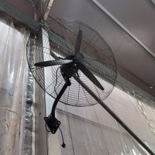 装配式游泳池篷房移动蓬房大棚运输储存方便