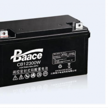 CB100-1212V100AH󱸵Դר