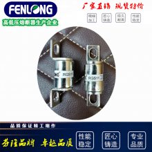 芬隆科技RGS11快速熔断器