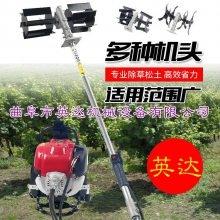 松土+除草效果很好果园农田松土机汽油锄草机