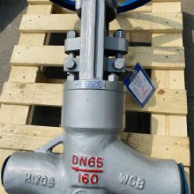 WCB糧ѹբSMZ61H-100C
