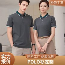 T Ļ POLO 칤װ ӡlogo