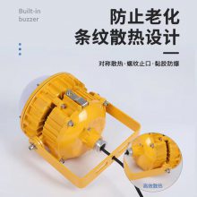 BPC8767_免维护防爆灯 LED防爆平台灯 海洋王BPC8767