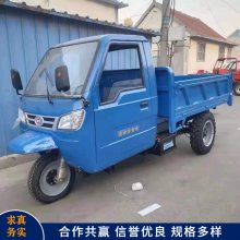 汉中 载重3吨翻斗车型号 柴油蹦蹦自卸三轮车图片 工程三马车