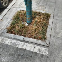 ����֥���ʯ�Ĳ���������