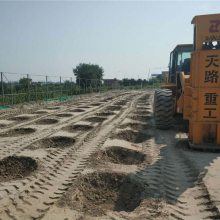 立式液压夯高清图片//河北邯郸永年简介