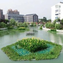 苏州市抗风浪浮岛 设计方案 河道种植浮岛