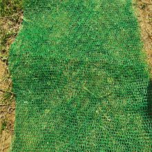 高分子合成三维植被网 园林绿化护坡网 环保耐用三维土工网垫边坡绿化 高边坡防护