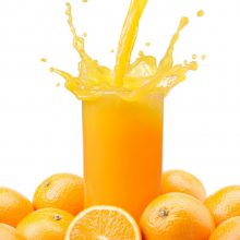ȸC֭ ܹ֭ Ʒ ʽըԭ