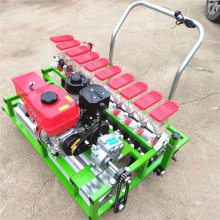 Ӧʽ߲˲ֻ 㾫 ҩĹֲ